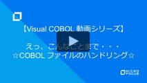 えっ、こんなことまで・・・ Visual COBOL による COBOL ファイルのハンドリング