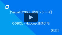COBOL - Hadoop 連携デモ