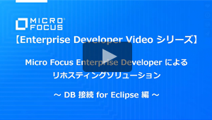 リホスティングソリューション DB 接続 for Eclipse 編