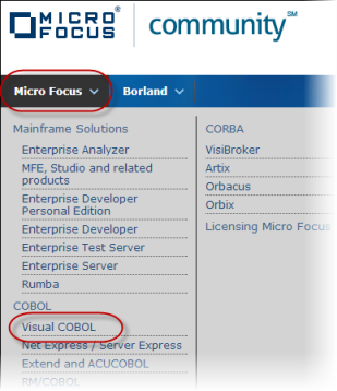 Visual COBOL group