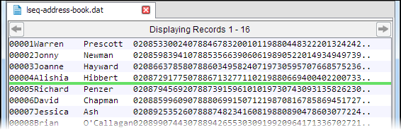 レコード挿入インジケーターが表示されたデータ ファイル